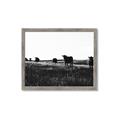 Picture of Cow Field  _GroupedProduct_Rectangle_Landscape_Photography _GroupedProduct_Rectangle_Landscape_Framed_Matted_