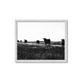 Picture of Cow Field  _GroupedProduct_Rectangle_Landscape_Photography _GroupedProduct_Rectangle_Landscape_Framed_Matted_