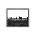 Picture of Cow Field  _GroupedProduct_Rectangle_Landscape_Photography _GroupedProduct_Rectangle_Landscape_Framed_Matted_