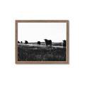 Picture of Cow Field  _GroupedProduct_Rectangle_Landscape_Photography _GroupedProduct_Rectangle_Landscape_Framed_Matted_