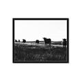 Picture of Cow Field  _GroupedProduct_Rectangle_Landscape_Photography _GroupedProduct_Rectangle_Landscape_Framed_Matted_