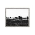 Picture of Cow Field  _GroupedProduct_Rectangle_Landscape_Photography _GroupedProduct_Rectangle_Landscape_Framed_Matted_