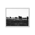 Picture of Cow Field  _GroupedProduct_Rectangle_Landscape_Photography _GroupedProduct_Rectangle_Landscape_Framed_Matted_
