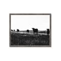 Picture of Cow Field  _GroupedProduct_Rectangle_Landscape_Photography _GroupedProduct_Rectangle_Landscape_Framed_Matted_