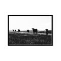 Picture of Cow Field  _GroupedProduct_Rectangle_Landscape_Photography _GroupedProduct_Rectangle_Landscape_Framed_Matted_