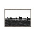 Picture of Cow Field  _GroupedProduct_Rectangle_Landscape_Photography _GroupedProduct_Rectangle_Landscape_Framed_Matted_