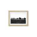 Picture of Cow Field  _GroupedProduct_Rectangle_Landscape_Photography _GroupedProduct_Rectangle_Landscape_Framed_Matted_