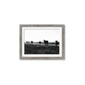 Picture of Cow Field  _GroupedProduct_Rectangle_Landscape_Photography _GroupedProduct_Rectangle_Landscape_Framed_Matted_
