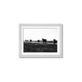Picture of Cow Field  _GroupedProduct_Rectangle_Landscape_Photography _GroupedProduct_Rectangle_Landscape_Framed_Matted_