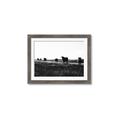Picture of Cow Field  _GroupedProduct_Rectangle_Landscape_Photography _GroupedProduct_Rectangle_Landscape_Framed_Matted_