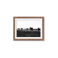 Picture of Cow Field  _GroupedProduct_Rectangle_Landscape_Photography _GroupedProduct_Rectangle_Landscape_Framed_Matted_