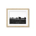 Picture of Cow Field  _GroupedProduct_Rectangle_Landscape_Photography _GroupedProduct_Rectangle_Landscape_Framed_Matted_