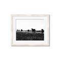 Picture of Cow Field  _GroupedProduct_Rectangle_Landscape_Photography _GroupedProduct_Rectangle_Landscape_Framed_Matted_
