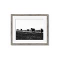 Picture of Cow Field  _GroupedProduct_Rectangle_Landscape_Photography _GroupedProduct_Rectangle_Landscape_Framed_Matted_