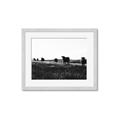 Picture of Cow Field  _GroupedProduct_Rectangle_Landscape_Photography _GroupedProduct_Rectangle_Landscape_Framed_Matted_