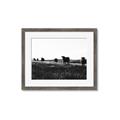 Picture of Cow Field  _GroupedProduct_Rectangle_Landscape_Photography _GroupedProduct_Rectangle_Landscape_Framed_Matted_