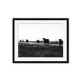 Picture of Cow Field  _GroupedProduct_Rectangle_Landscape_Photography _GroupedProduct_Rectangle_Landscape_Framed_Matted_