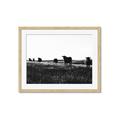 Picture of Cow Field  _GroupedProduct_Rectangle_Landscape_Photography _GroupedProduct_Rectangle_Landscape_Framed_Matted_