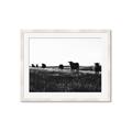 Picture of Cow Field  _GroupedProduct_Rectangle_Landscape_Photography _GroupedProduct_Rectangle_Landscape_Framed_Matted_