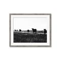 Picture of Cow Field  _GroupedProduct_Rectangle_Landscape_Photography _GroupedProduct_Rectangle_Landscape_Framed_Matted_