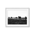 Picture of Cow Field  _GroupedProduct_Rectangle_Landscape_Photography _GroupedProduct_Rectangle_Landscape_Framed_Matted_