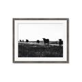 Picture of Cow Field  _GroupedProduct_Rectangle_Landscape_Photography _GroupedProduct_Rectangle_Landscape_Framed_Matted_