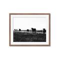 Picture of Cow Field  _GroupedProduct_Rectangle_Landscape_Photography _GroupedProduct_Rectangle_Landscape_Framed_Matted_