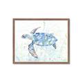 Picture of Sea Turtle I  _GroupedProduct_Rectangle_Landscape_Framed_Matted_
