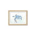 Picture of Sea Turtle I  _GroupedProduct_Rectangle_Landscape_Framed_Matted_
