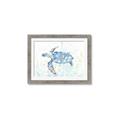 Picture of Sea Turtle I  _GroupedProduct_Rectangle_Landscape_Framed_Matted_