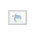 Picture of Sea Turtle I  _GroupedProduct_Rectangle_Landscape_Framed_Matted_