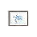 Picture of Sea Turtle I  _GroupedProduct_Rectangle_Landscape_Framed_Matted_