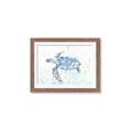 Picture of Sea Turtle I  _GroupedProduct_Rectangle_Landscape_Framed_Matted_