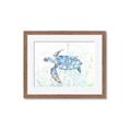 Picture of Sea Turtle I  _GroupedProduct_Rectangle_Landscape_Framed_Matted_