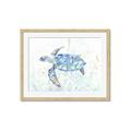 Picture of Sea Turtle I  _GroupedProduct_Rectangle_Landscape_Framed_Matted_