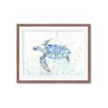 Picture of Sea Turtle I  _GroupedProduct_Rectangle_Landscape_Framed_Matted_