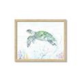 Picture of Sea Turtle II  _GroupedProduct_Rectangle_Landscape_Framed_Matted_