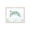Picture of Sea Turtle II  _GroupedProduct_Rectangle_Landscape_Framed_Matted_