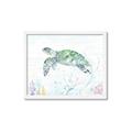 Picture of Sea Turtle II  _GroupedProduct_Rectangle_Landscape_Framed_Matted_