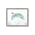 Picture of Sea Turtle II  _GroupedProduct_Rectangle_Landscape_Framed_Matted_