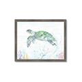 Picture of Sea Turtle II  _GroupedProduct_Rectangle_Landscape_Framed_Matted_