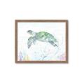 Picture of Sea Turtle II  _GroupedProduct_Rectangle_Landscape_Framed_Matted_
