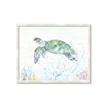 Picture of Sea Turtle II  _GroupedProduct_Rectangle_Landscape_Framed_Matted_