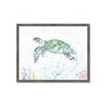 Picture of Sea Turtle II  _GroupedProduct_Rectangle_Landscape_Framed_Matted_