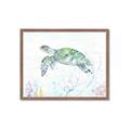 Picture of Sea Turtle II  _GroupedProduct_Rectangle_Landscape_Framed_Matted_