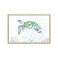 Picture of Sea Turtle II  _GroupedProduct_Rectangle_Landscape_Framed_Matted_