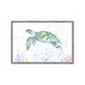 Picture of Sea Turtle II  _GroupedProduct_Rectangle_Landscape_Framed_Matted_