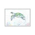Picture of Sea Turtle II  _GroupedProduct_Rectangle_Landscape_Framed_Matted_