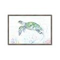 Picture of Sea Turtle II  _GroupedProduct_Rectangle_Landscape_Framed_Matted_