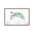 Picture of Sea Turtle II  _GroupedProduct_Rectangle_Landscape_Framed_Matted_